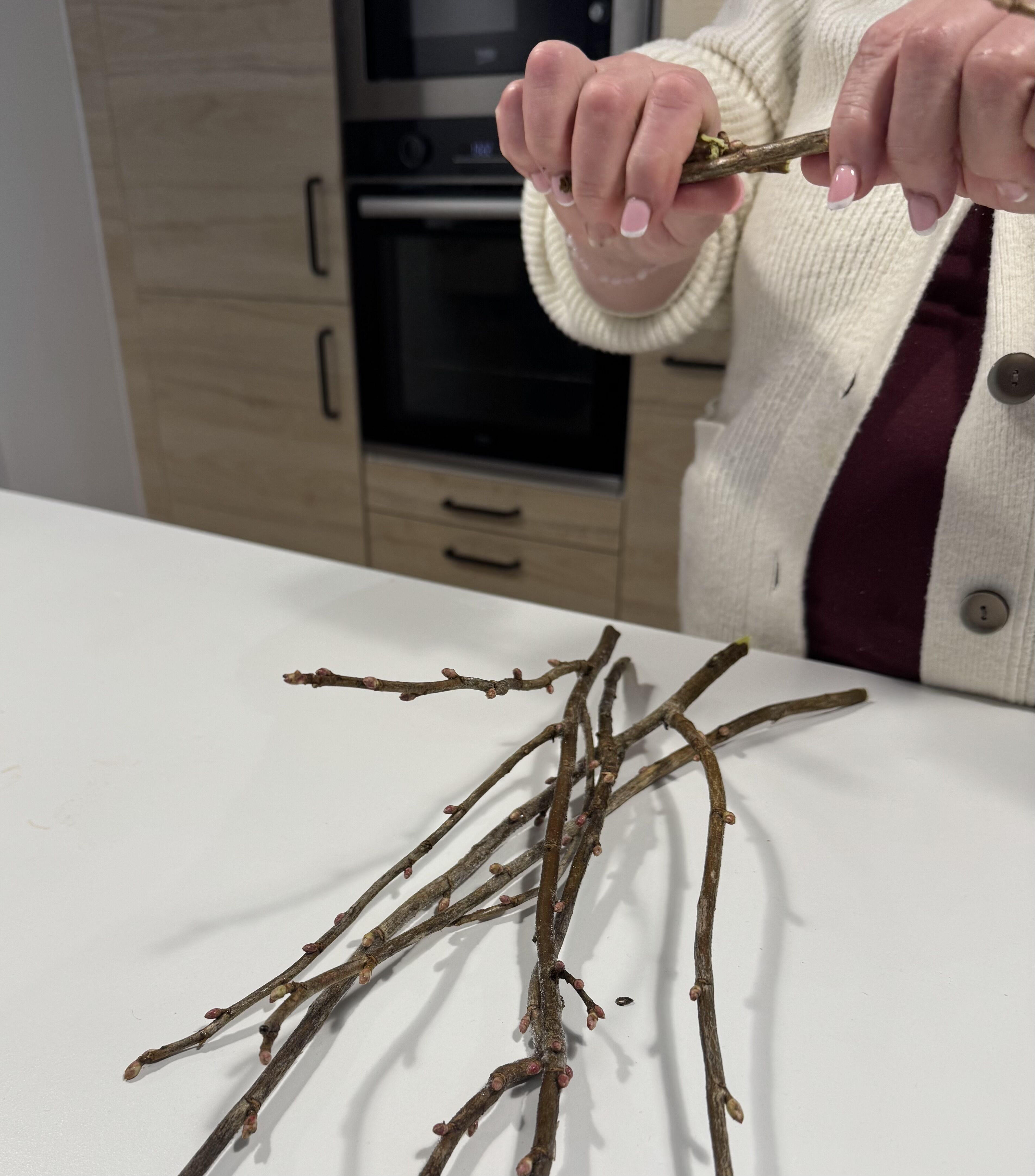 枝を折ってる様子