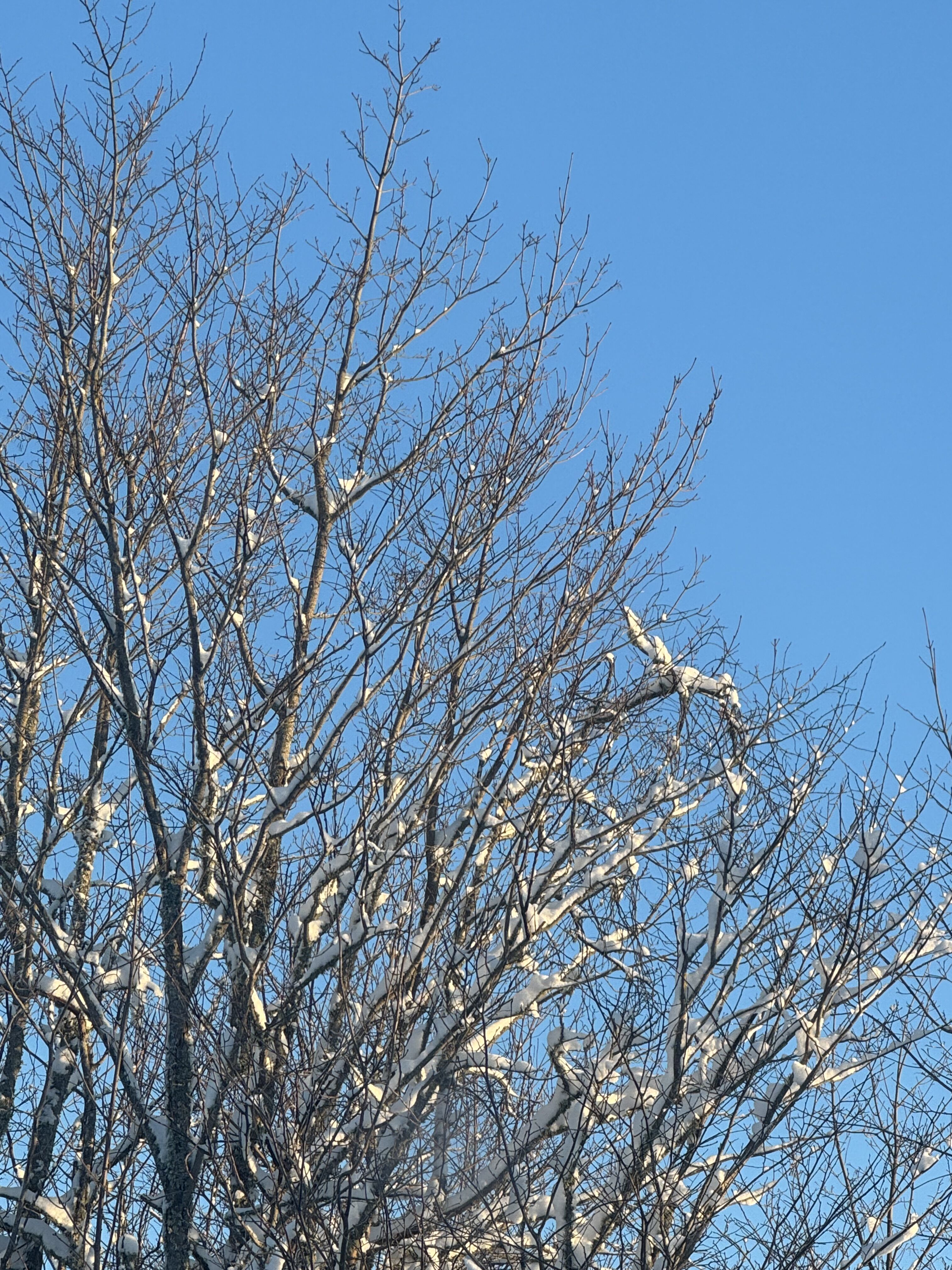 エストニアで-25度を体験する