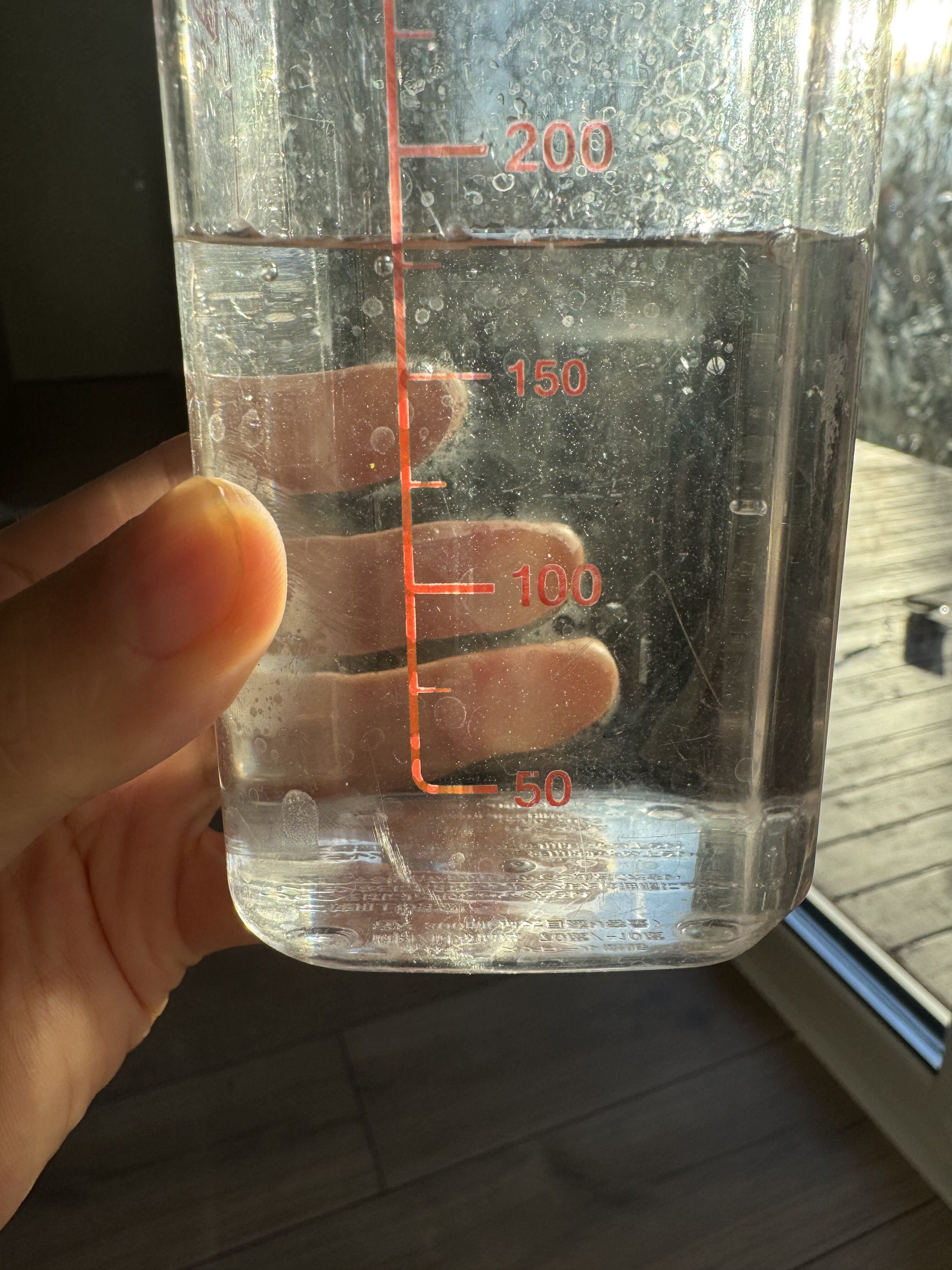 楓の樹液を飲む