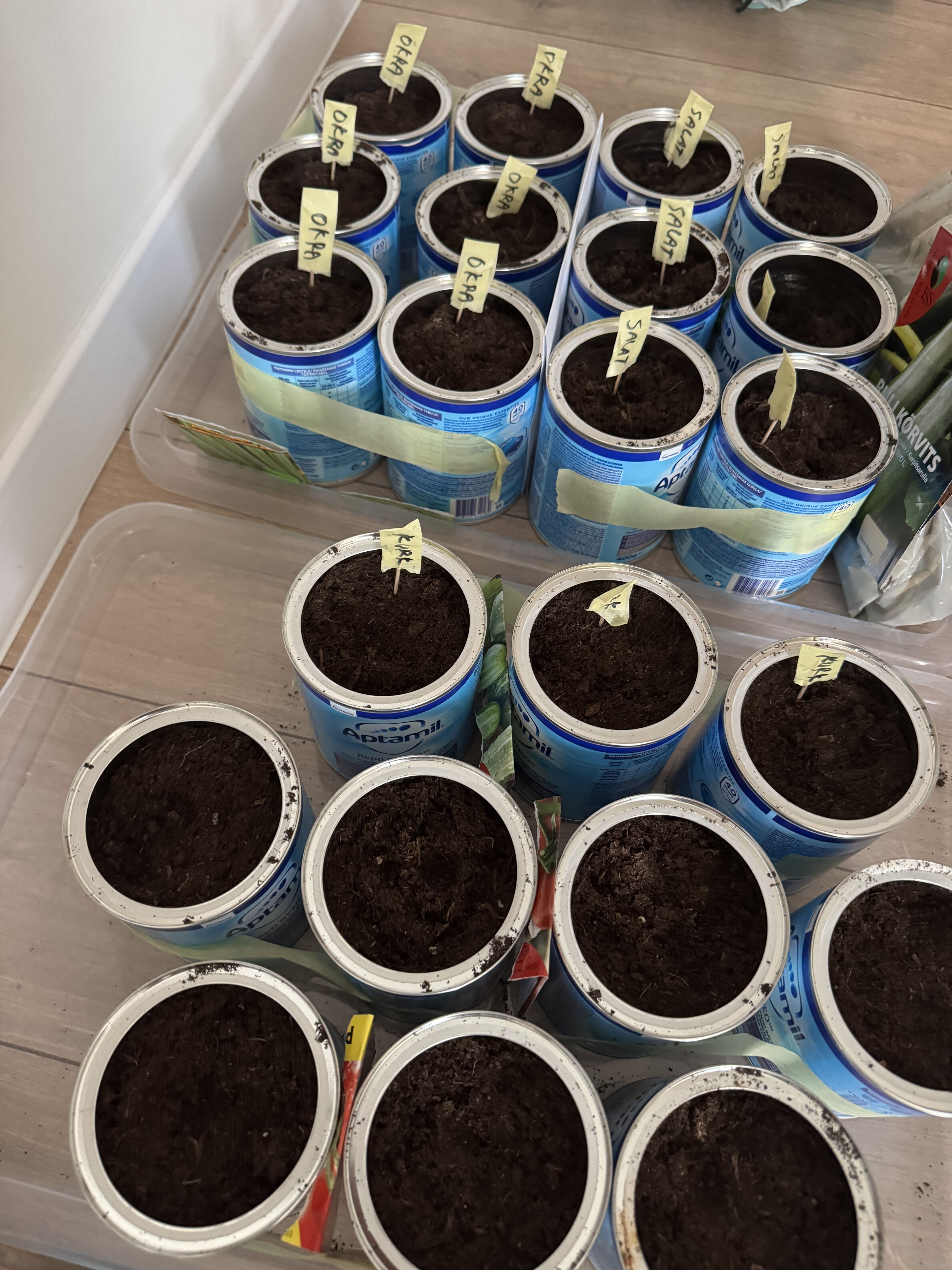 家庭菜園始めました